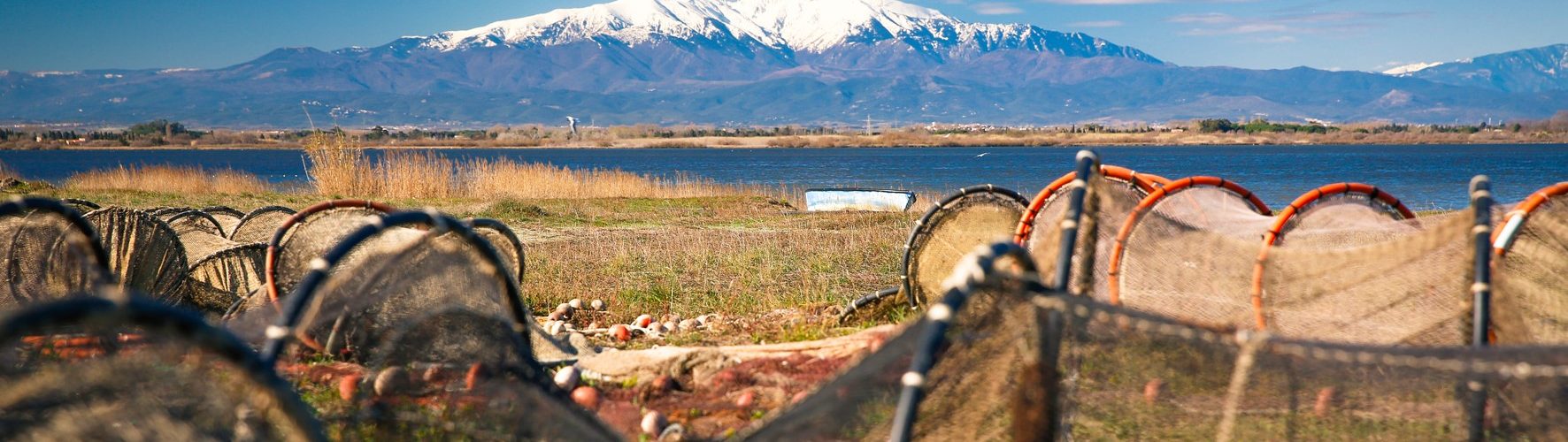 Quel programme pour un super séjour au cœur de Perpignan Méditerranée ?